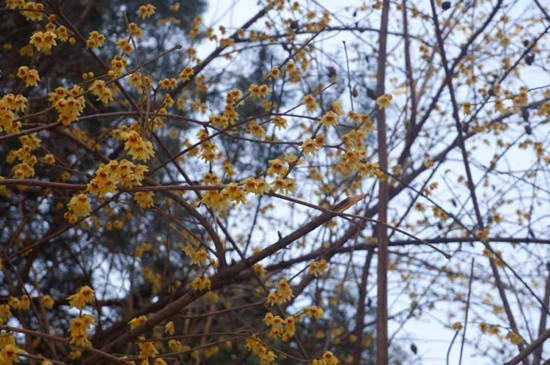 雨水降，萬(wàn)物蘇(圖3)