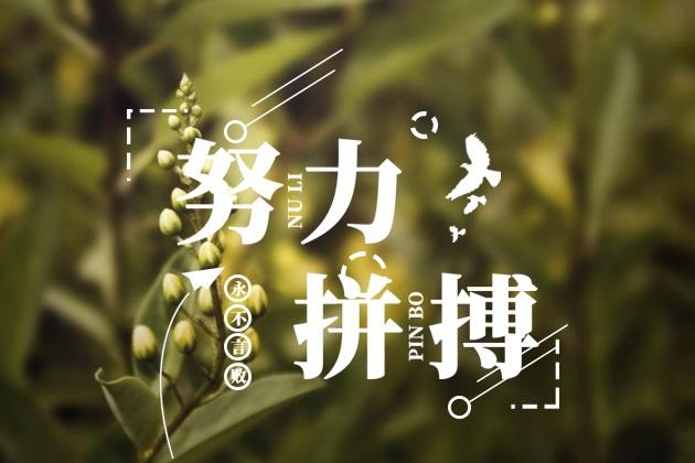  給我一份信任，還你10分滿意(圖3)